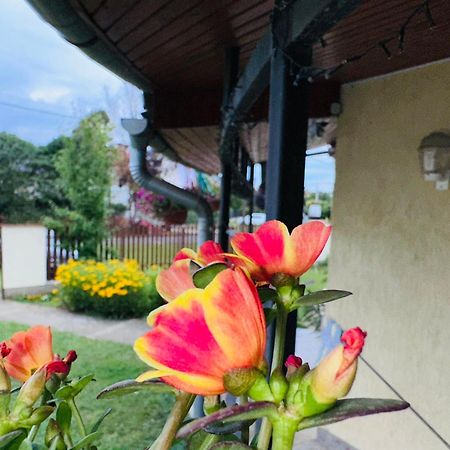 Appartement Cozy Garden Apartman à Gyula Extérieur photo