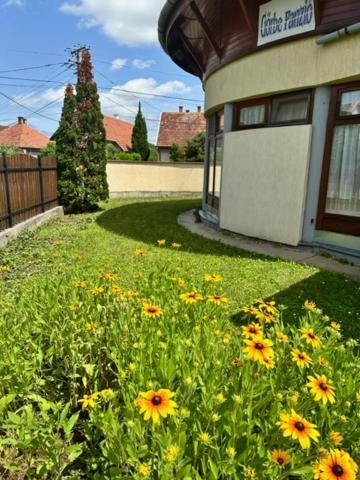 Appartement Cozy Garden Apartman à Gyula Extérieur photo