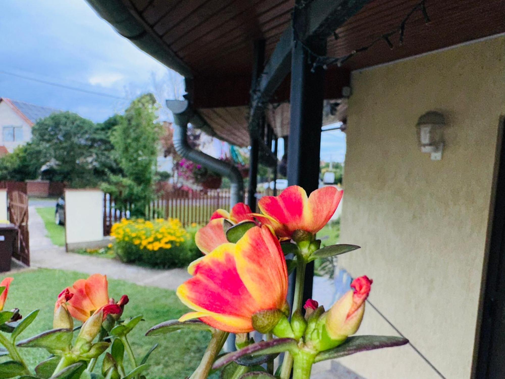 Appartement Cozy Garden Apartman à Gyula Extérieur photo